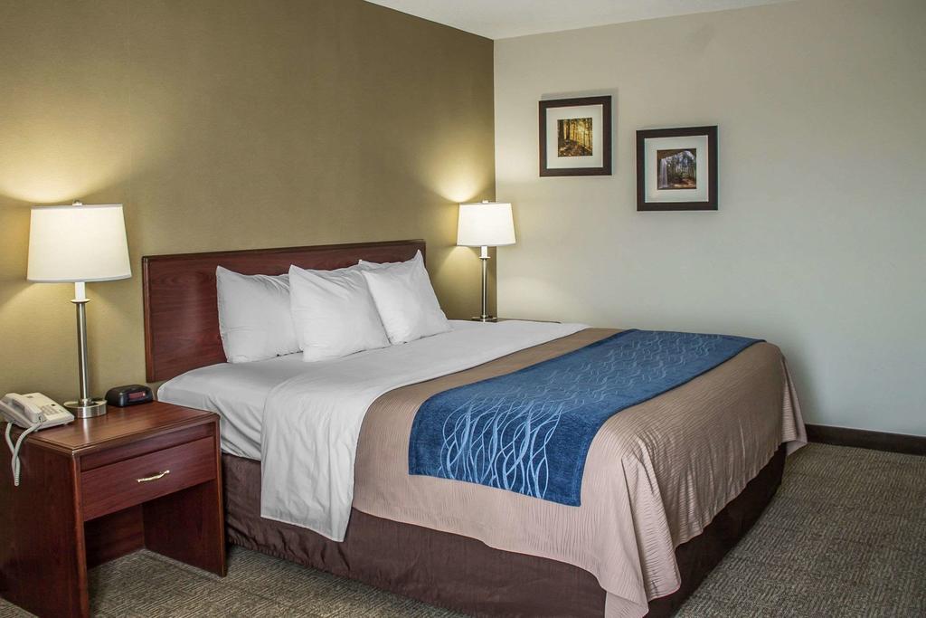 Comfort Inn - thumb 3