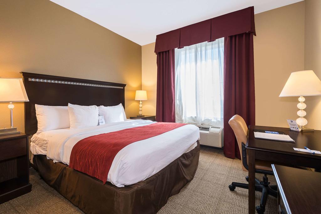 Comfort Inn & Suites Maingate South - thumb 3