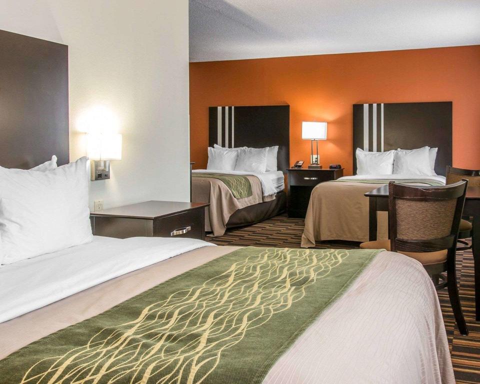 Comfort Inn Maumee - Perrysburgh Area - thumb 3