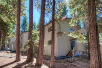 Cozy Bear Lodge by Lake Tahoe Accommodations Accommodation Ohio