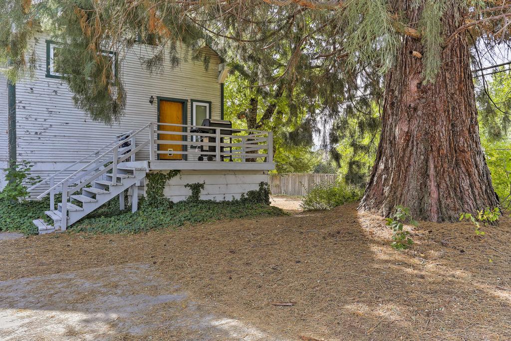 Cozy Studio Near Hiking And Skiing, Walk To Downtown - thumb 2