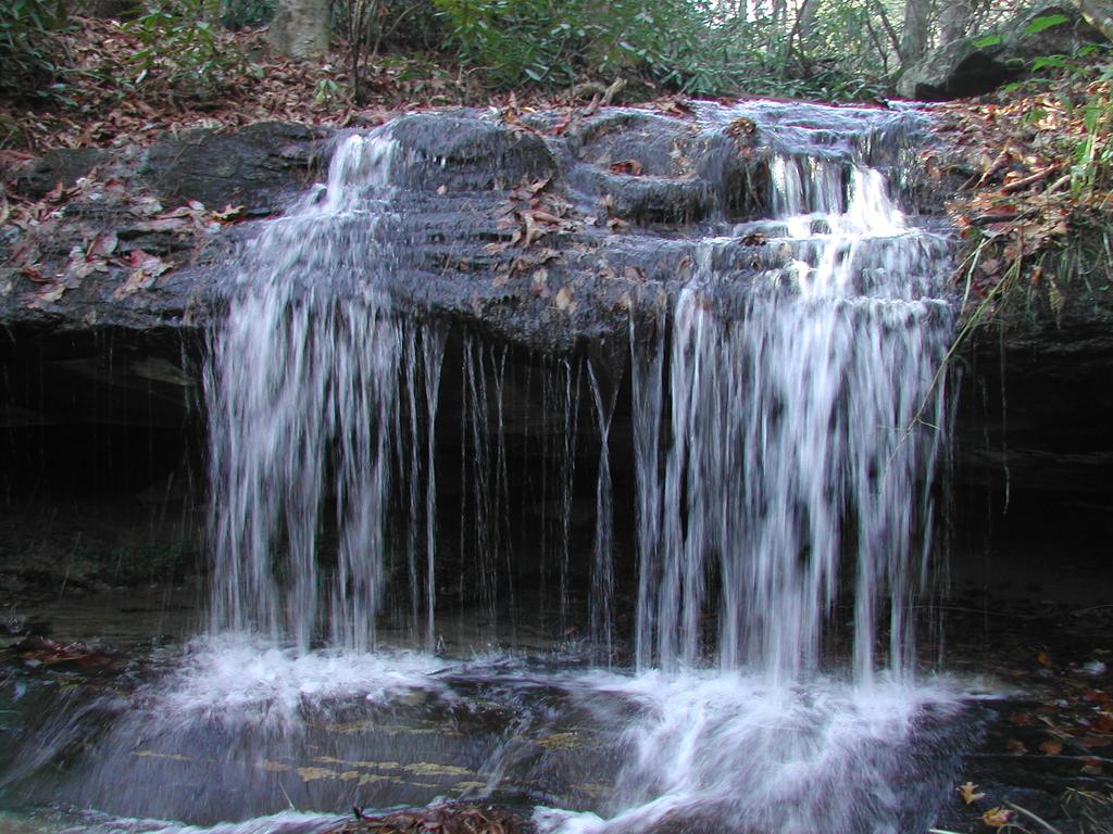 Creekside Overlook - Secluded Log Cabin Overlooking Creek - thumb 3