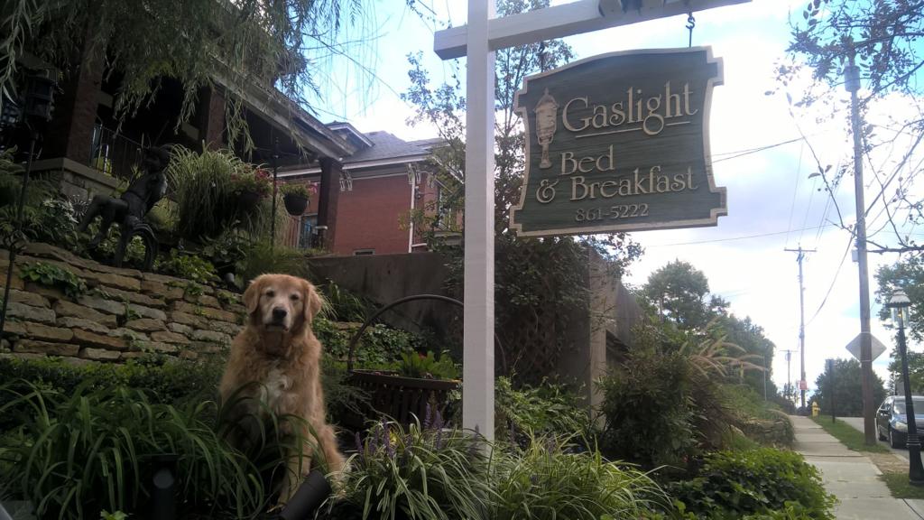 Gaslight Bed & Breakfast - thumb 1