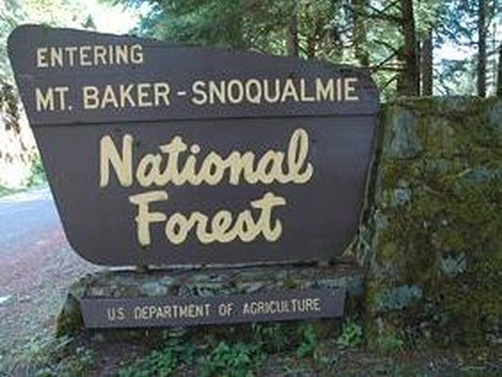 Holiday Home 35SL Pet Friendly Cabin Near Skiing - thumb 3