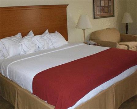 Holiday Inn Express Hotel & Suites Zapata - thumb 2