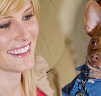 Home2 Suites by Hilton Laredo TX - Accommodation Ohio