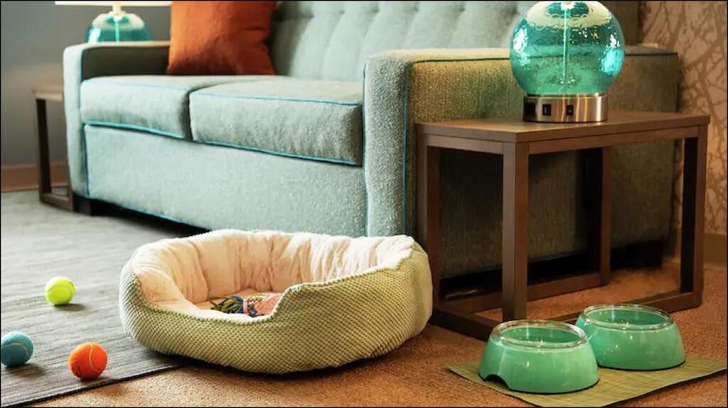 Home2 Suites By Hilton Norfolk Airport - thumb 2