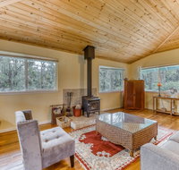 Kahu 'lo - Guardian Hawk - Accommodation Ohio