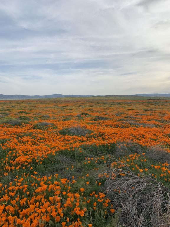 Lancaster Inn - thumb 0