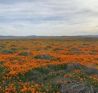 Lancaster Inn - Accommodation Ohio