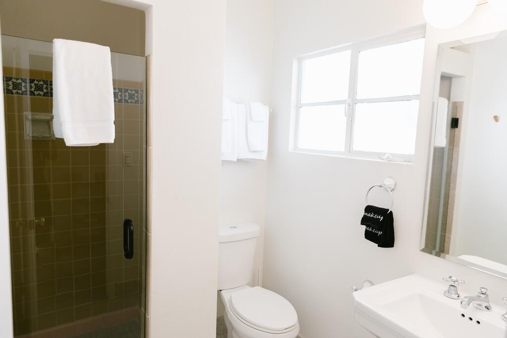 Les Cactus - thumb 1