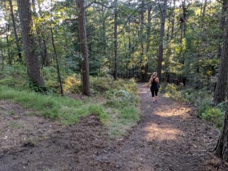 Loblolly Pines Adventure Cabin 4 King - thumb 2