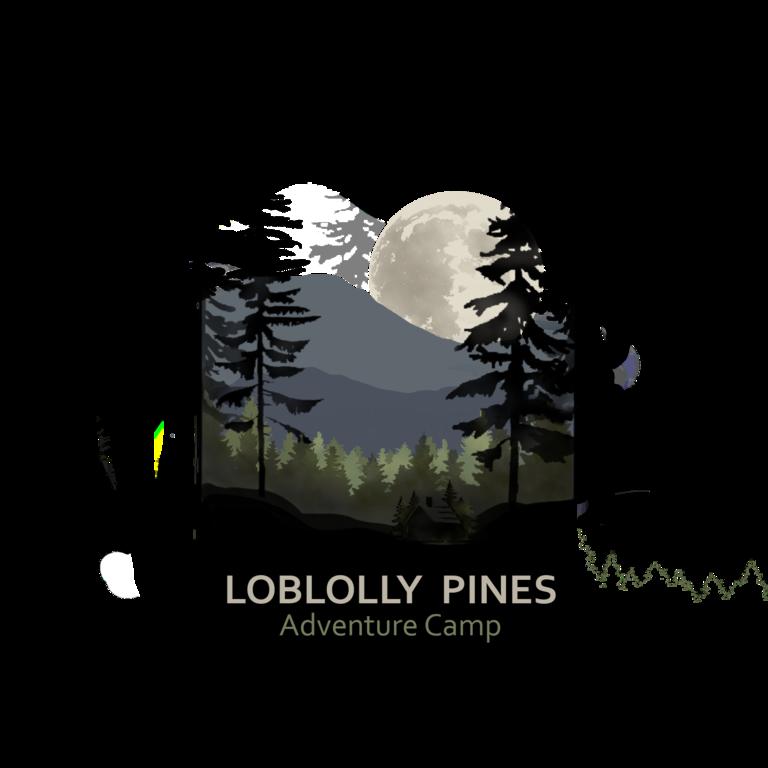 Loblolly Pines Adventure Cabin 4 King - thumb 3