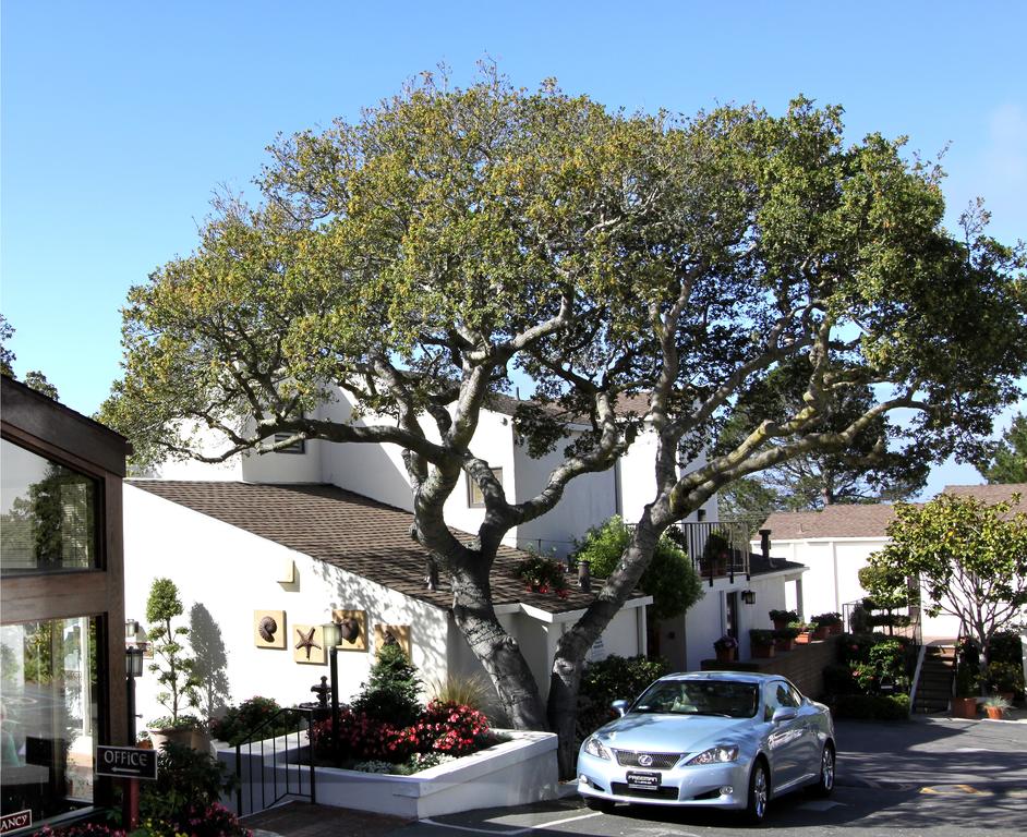 Lobos Lodge - thumb 0