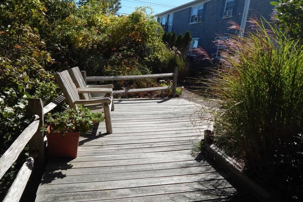 P-Town 2br Beach Beauty On The Bay. Water View! - thumb 1