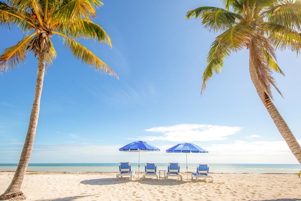 Paradise Beach - thumb 3