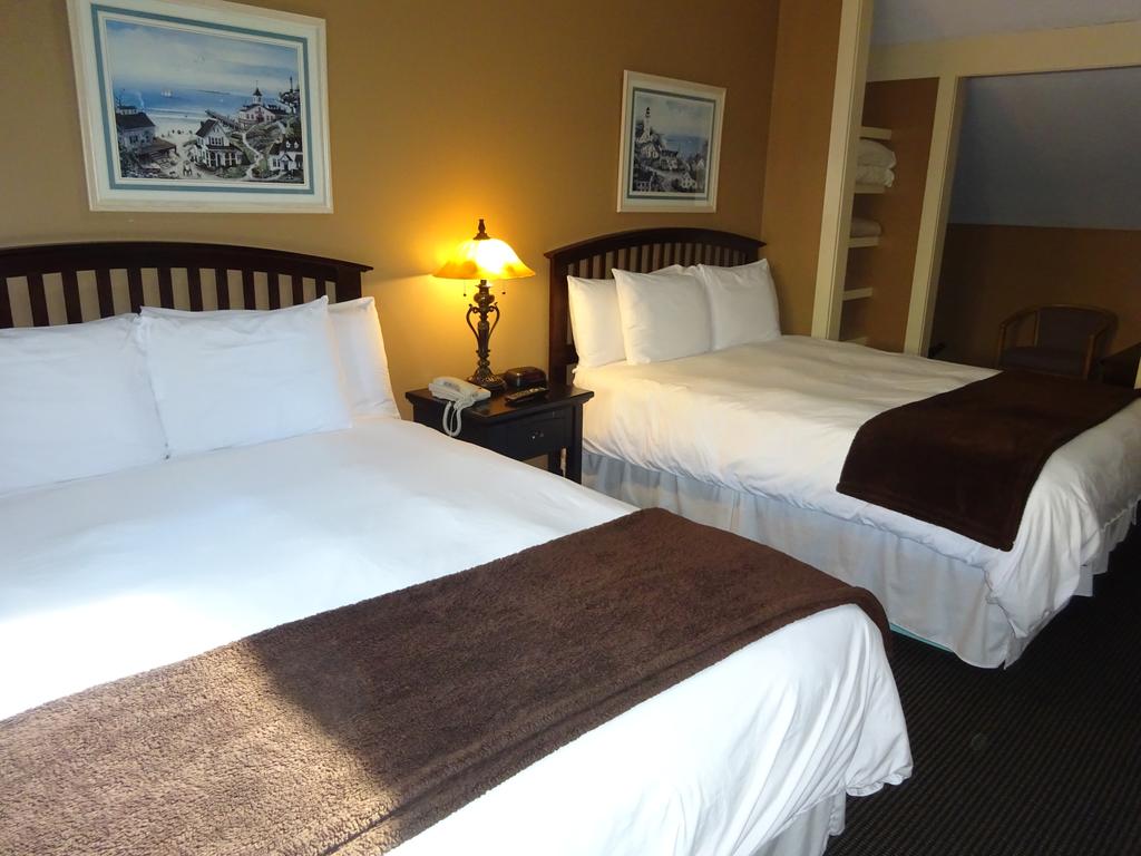 Sea Rose Suites - thumb 3