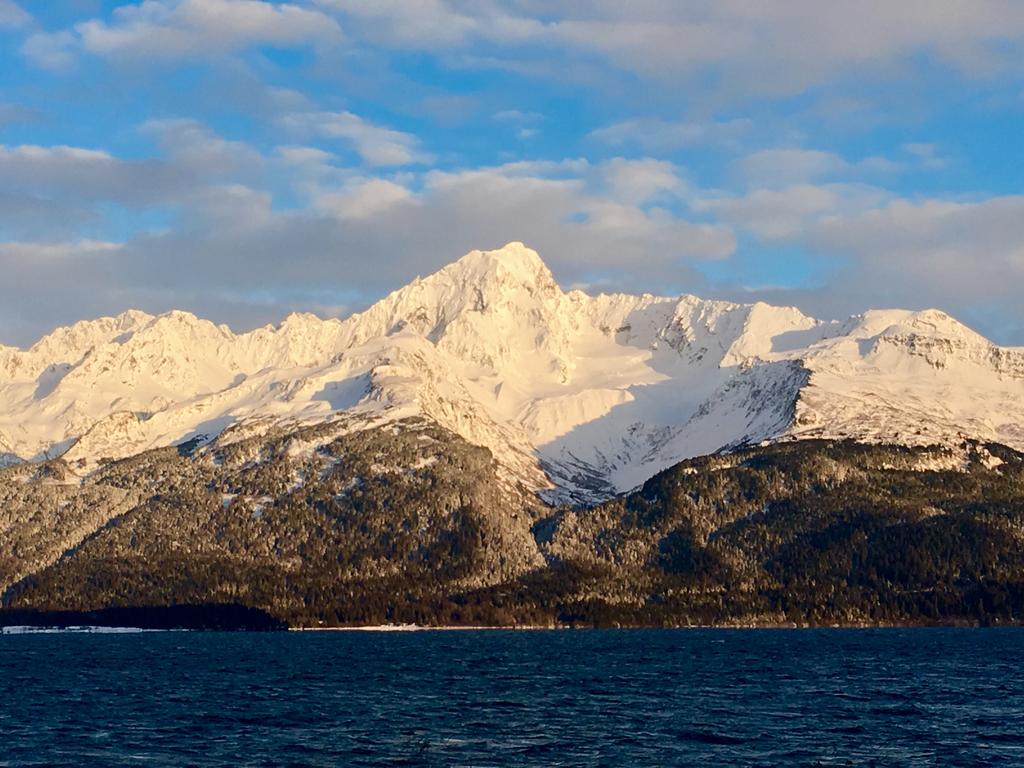 Seward Bayfront Cottage - thumb 1