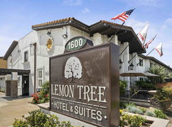 The Lemon Tree Hotel