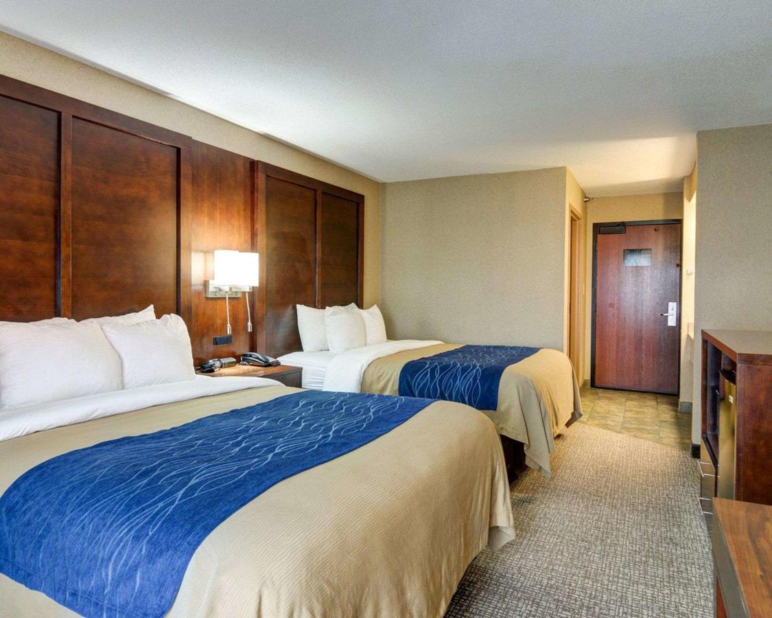 Comfort Inn & Suites Conway - thumb 8