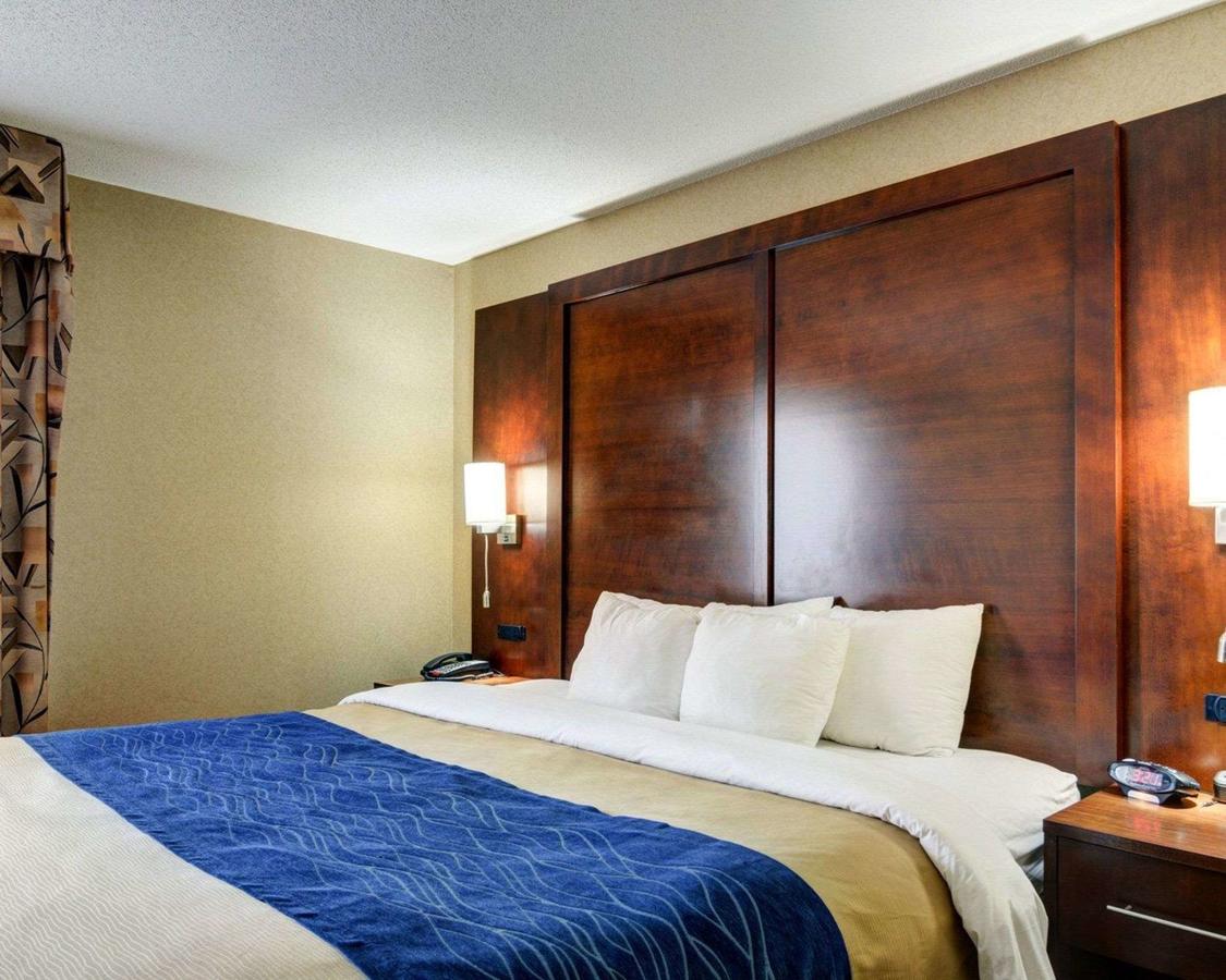 Comfort Inn & Suites Conway - thumb 24