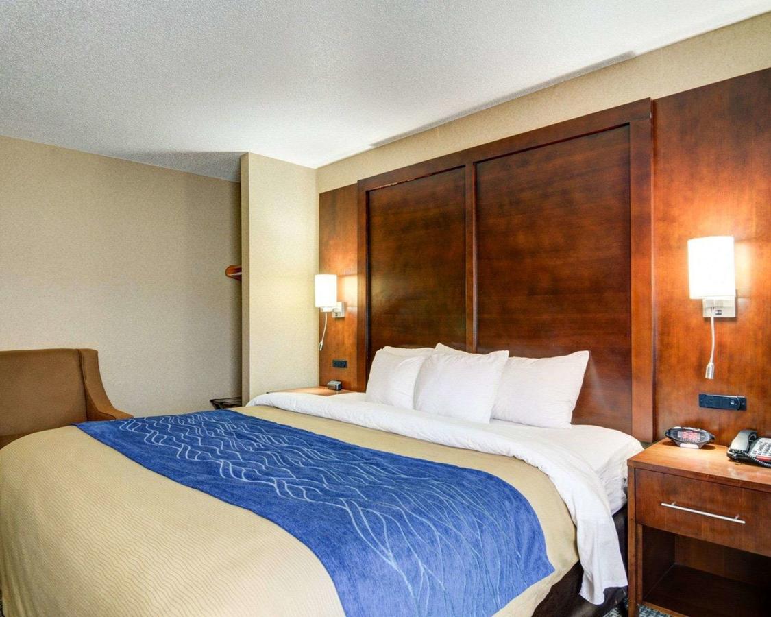 Comfort Inn & Suites Conway - thumb 27