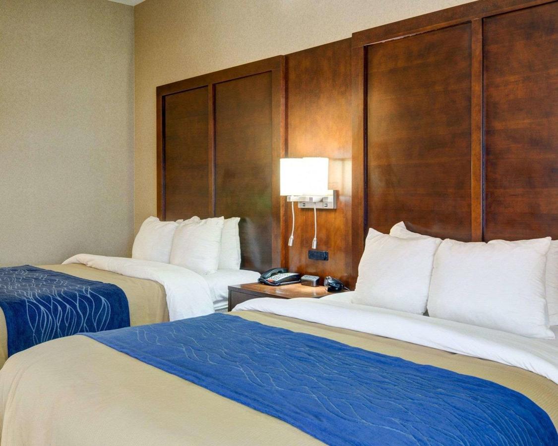 Comfort Inn & Suites Conway - thumb 5