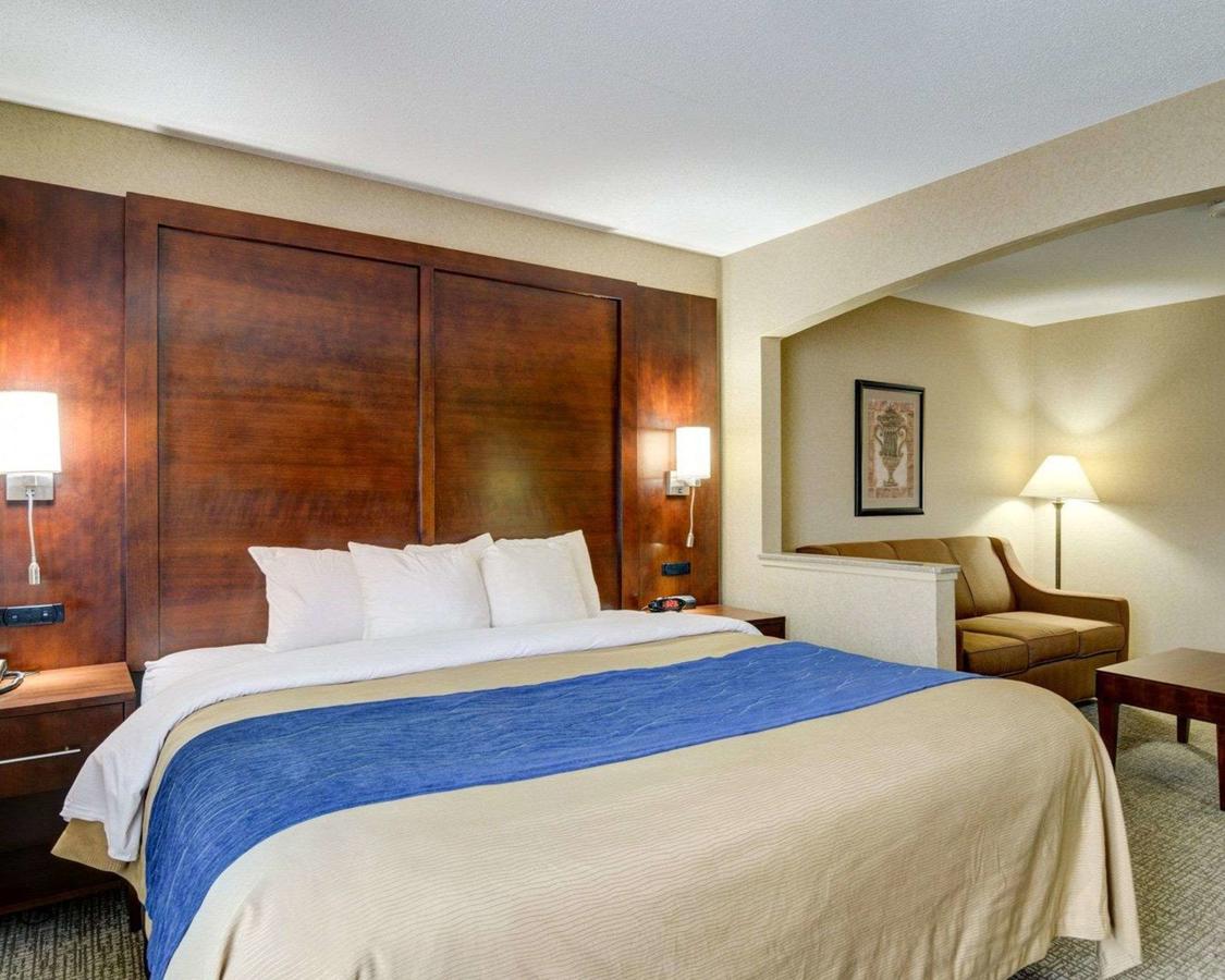 Comfort Inn & Suites Conway - thumb 13