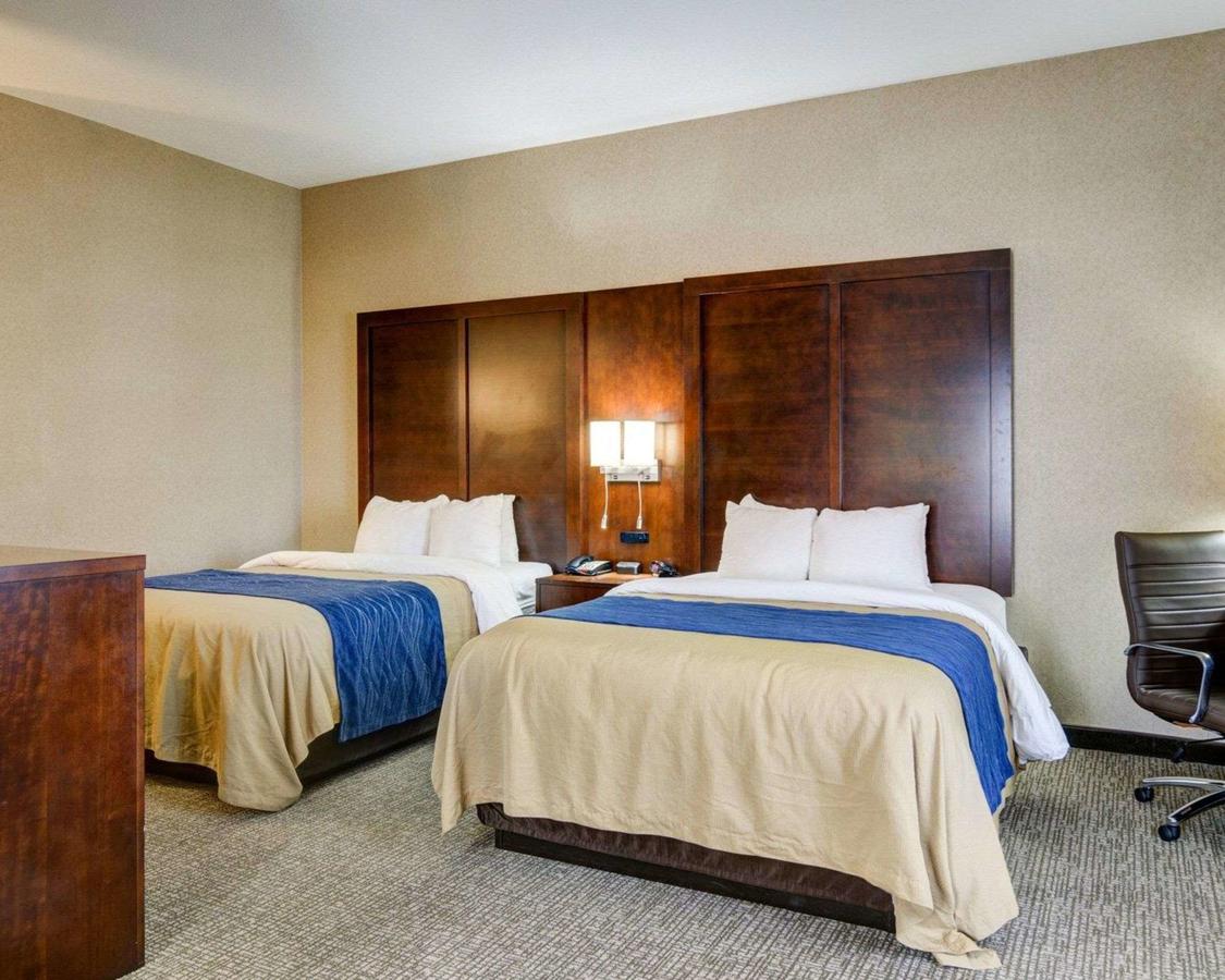 Comfort Inn & Suites Conway - thumb 18