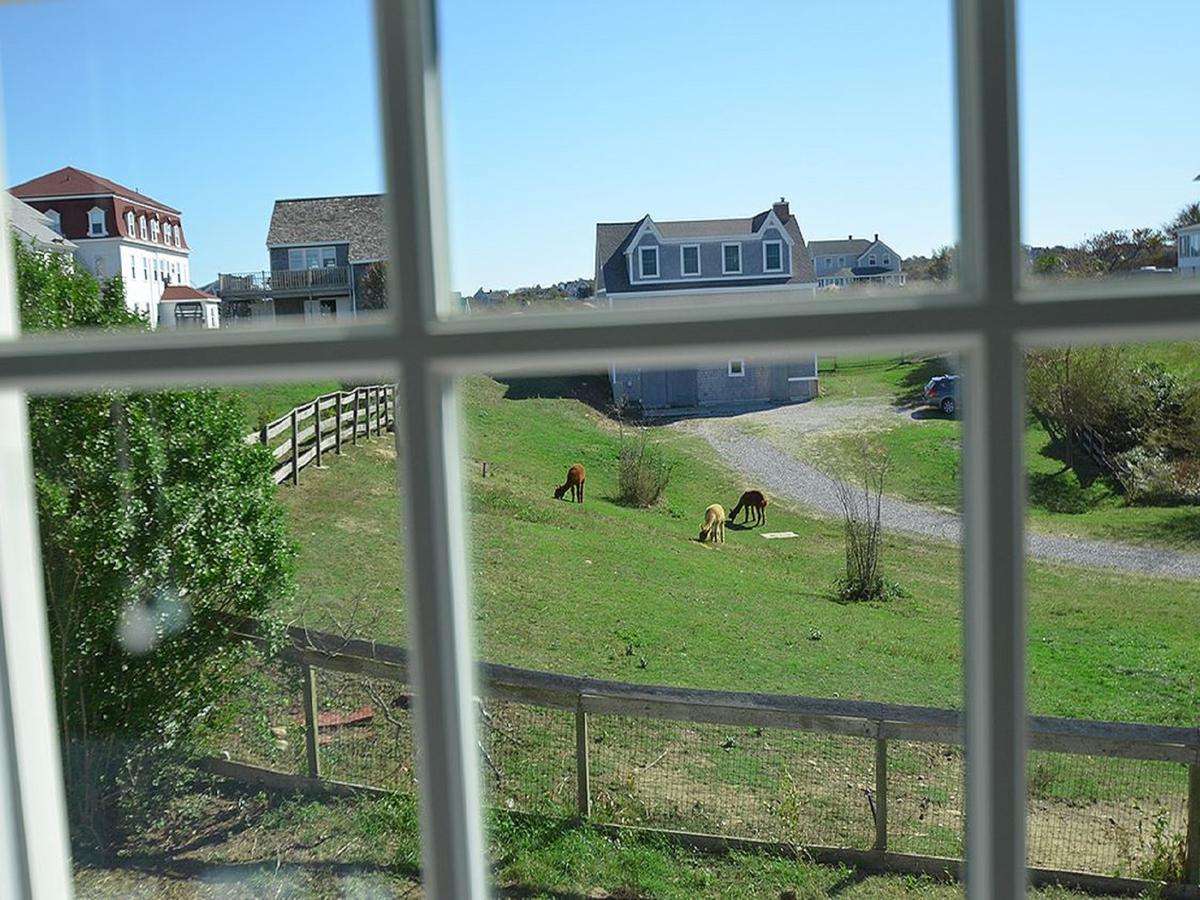 The Inn At Spring House - thumb 7