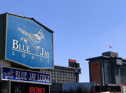 Blue Jay Lodge