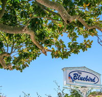 Bluebird Inn - Accommodation Ohio