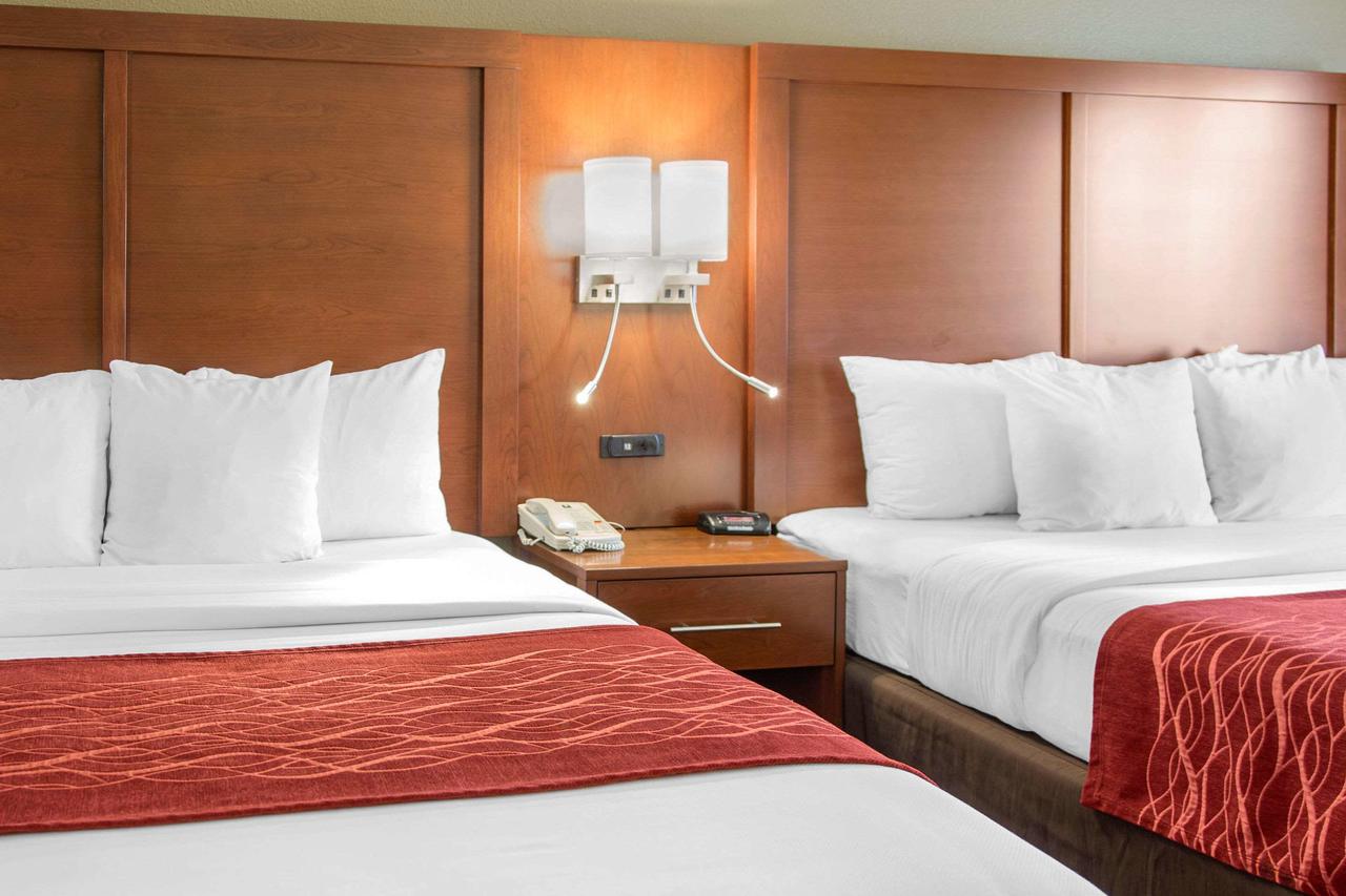 Comfort Inn & Suites San Francisco Airport North - thumb 15