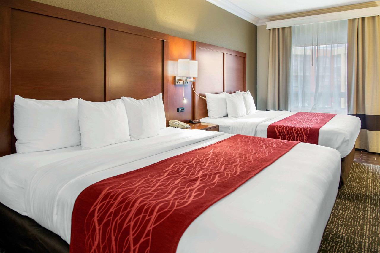 Comfort Inn & Suites San Francisco Airport North - thumb 20