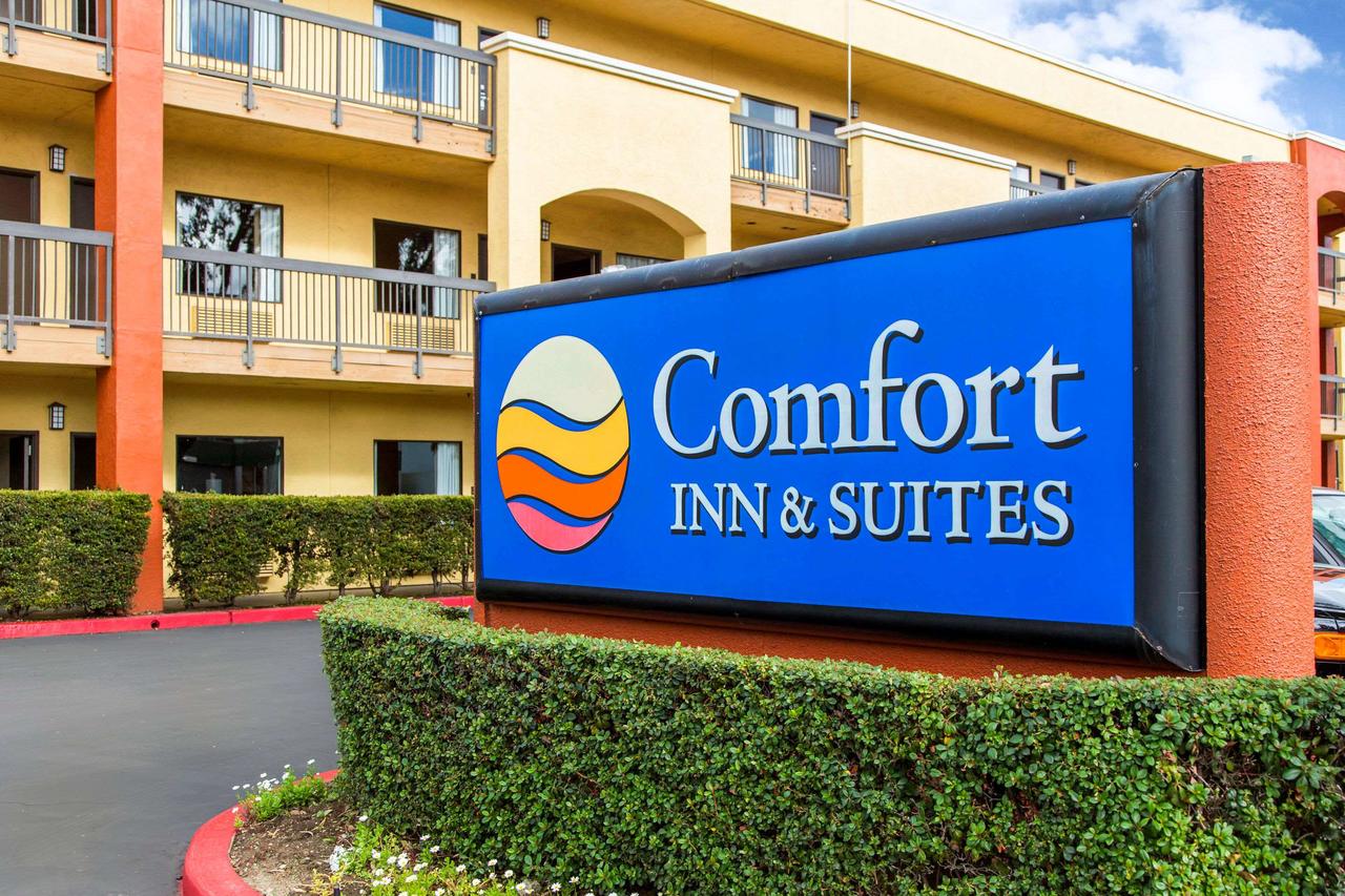 Comfort Inn & Suites San Francisco Airport North - thumb 22