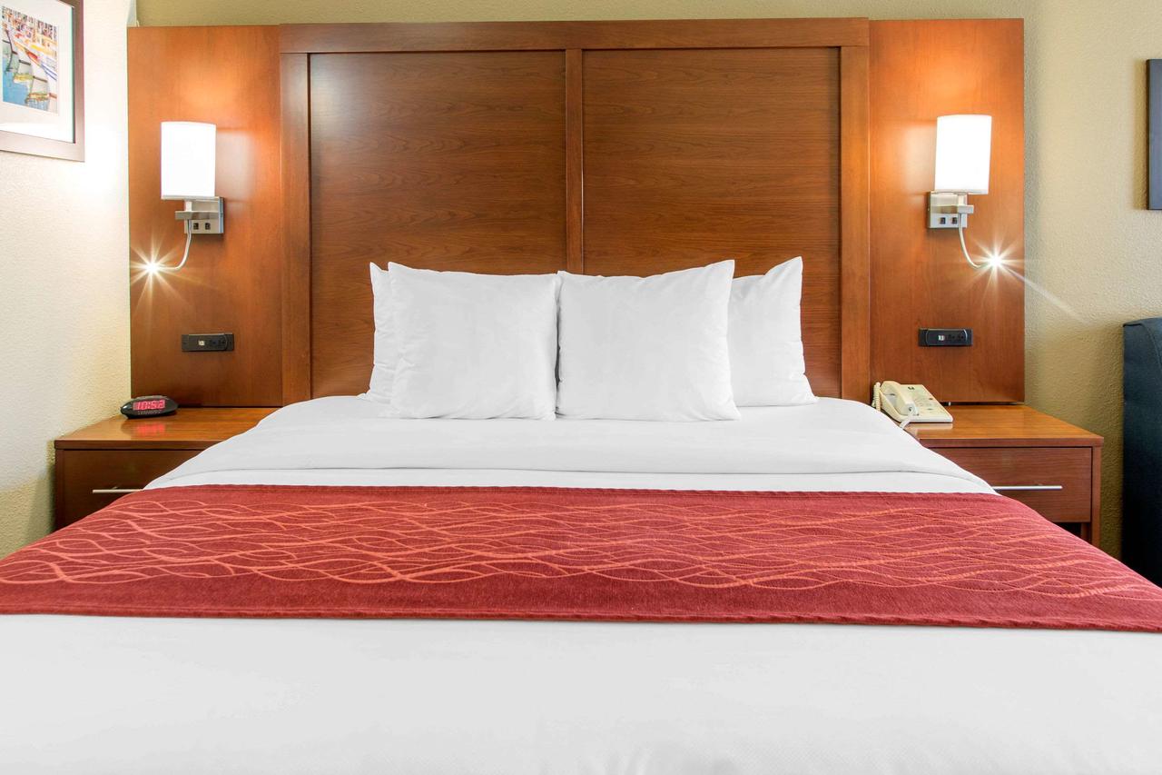 Comfort Inn & Suites San Francisco Airport North - thumb 7