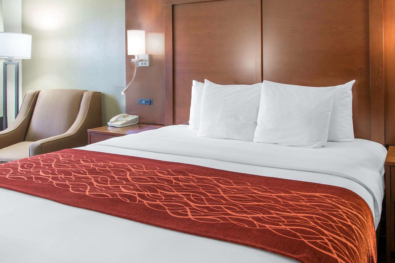 Comfort Inn & Suites San Francisco Airport North - thumb 28