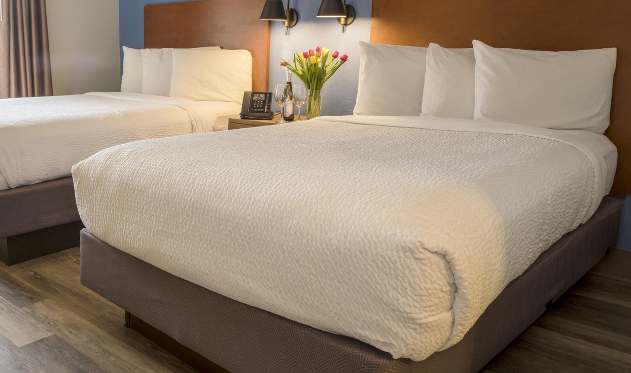 Hotel Focus SFO - thumb 2