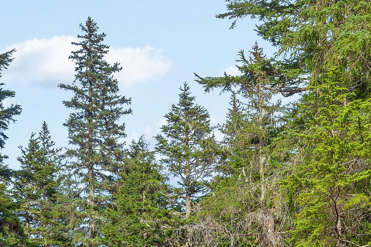 East Condo #208 - thumb 24