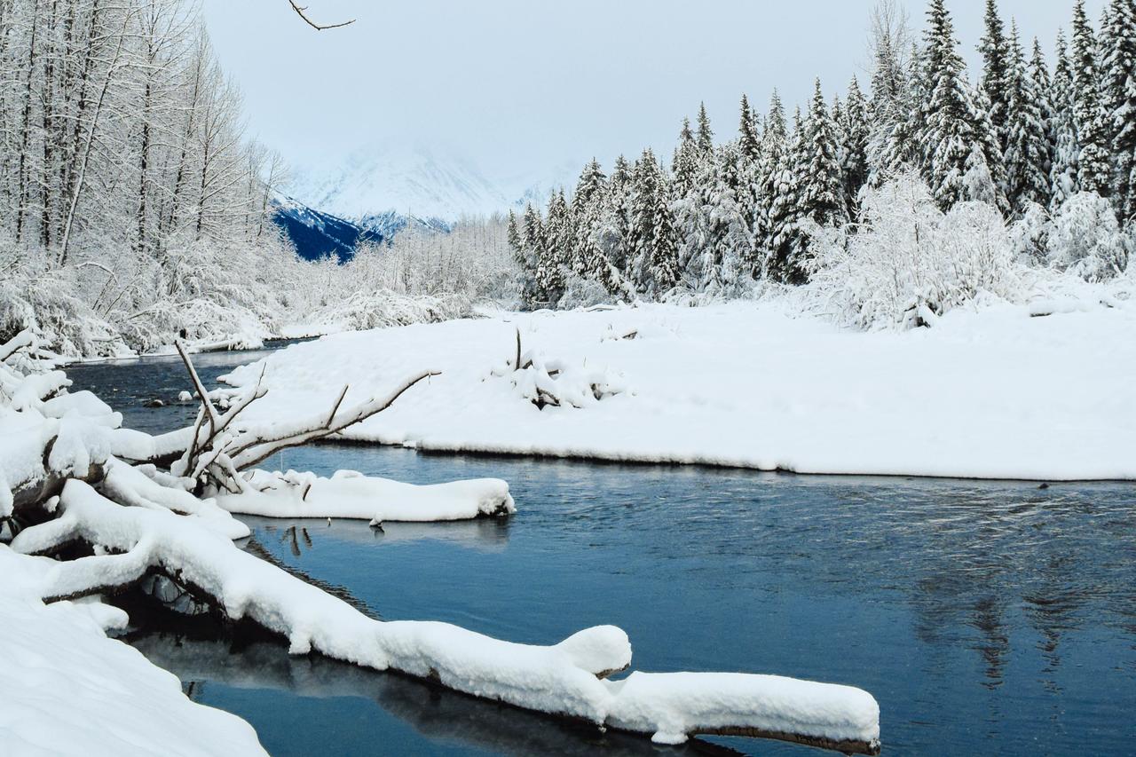 Brighton #116 - thumb 14