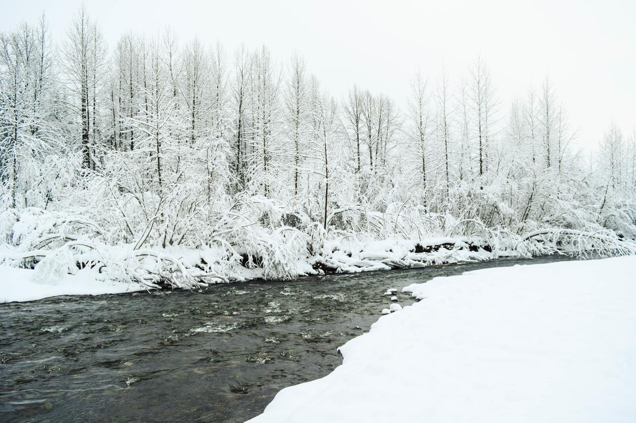 Brighton #116 - thumb 10