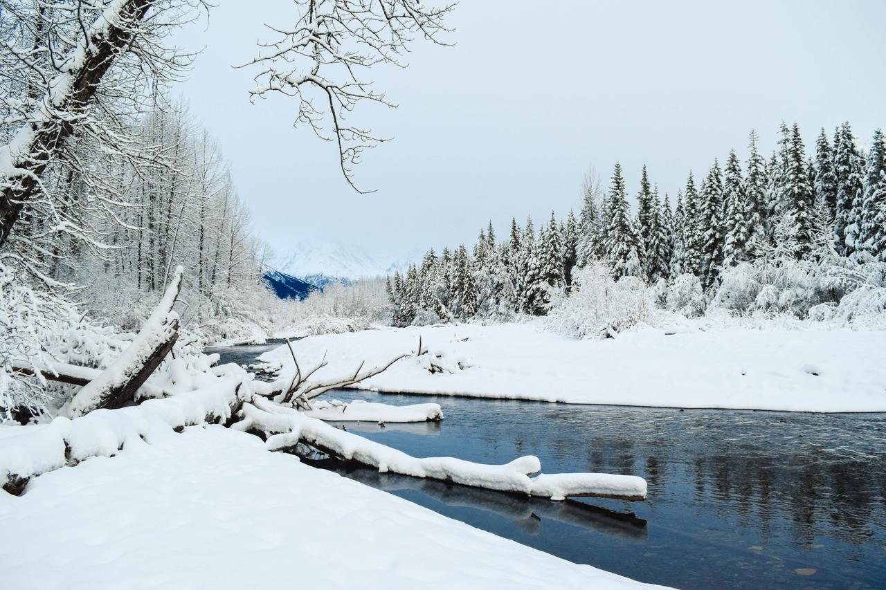 Brighton #116 - thumb 11