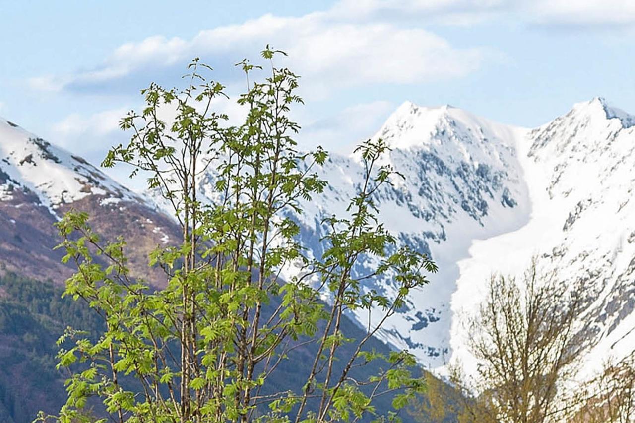 Alyeska North #400 - thumb 19