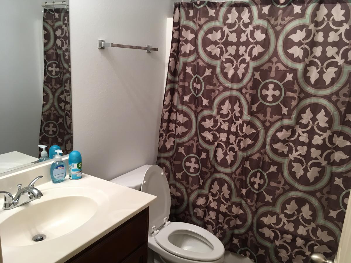 Gorgeous Centrallly Located In Conway - thumb 4