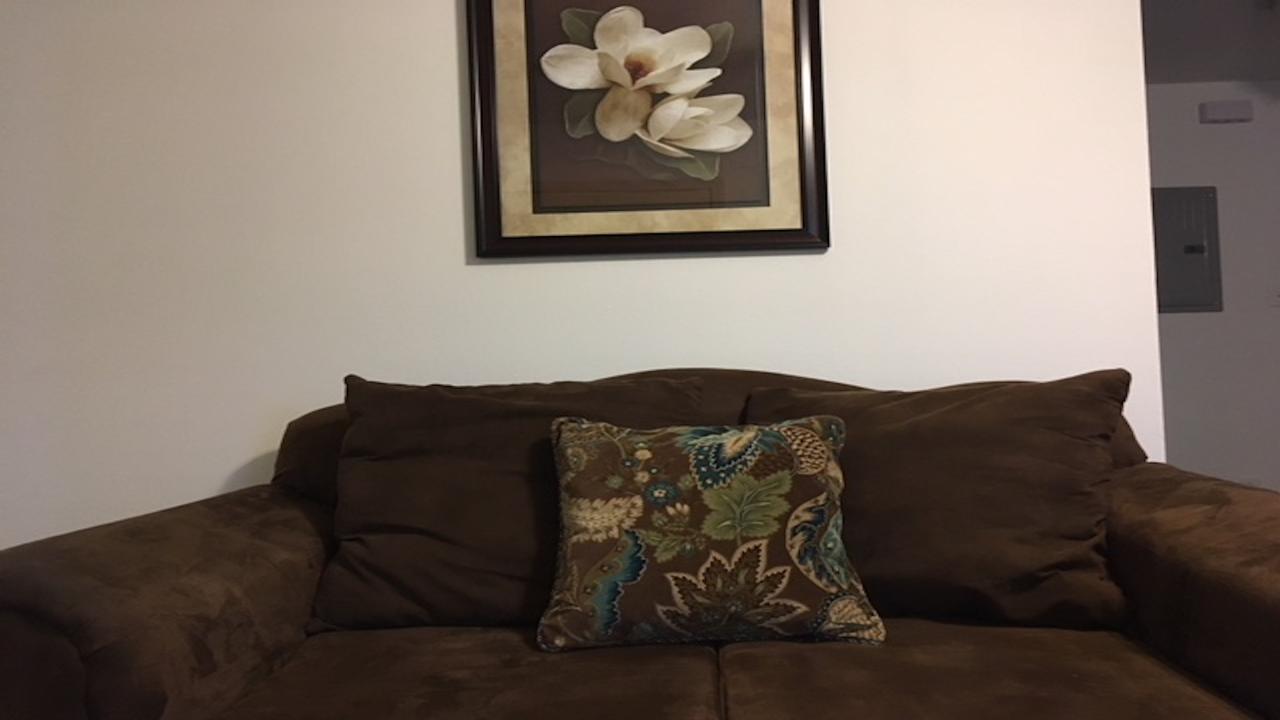 Gorgeous Centrallly Located In Conway - thumb 3