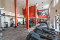 Amazing Apartments near the grove Accommodation Ohio