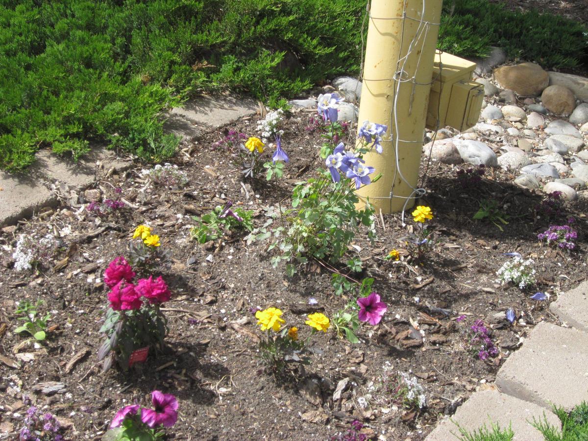 Wapiti Lodge - thumb 17