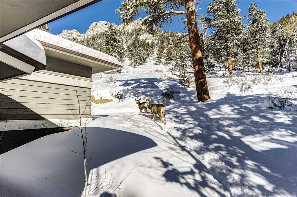 Adams Condominium (2 Bedroom Condo) - thumb 25