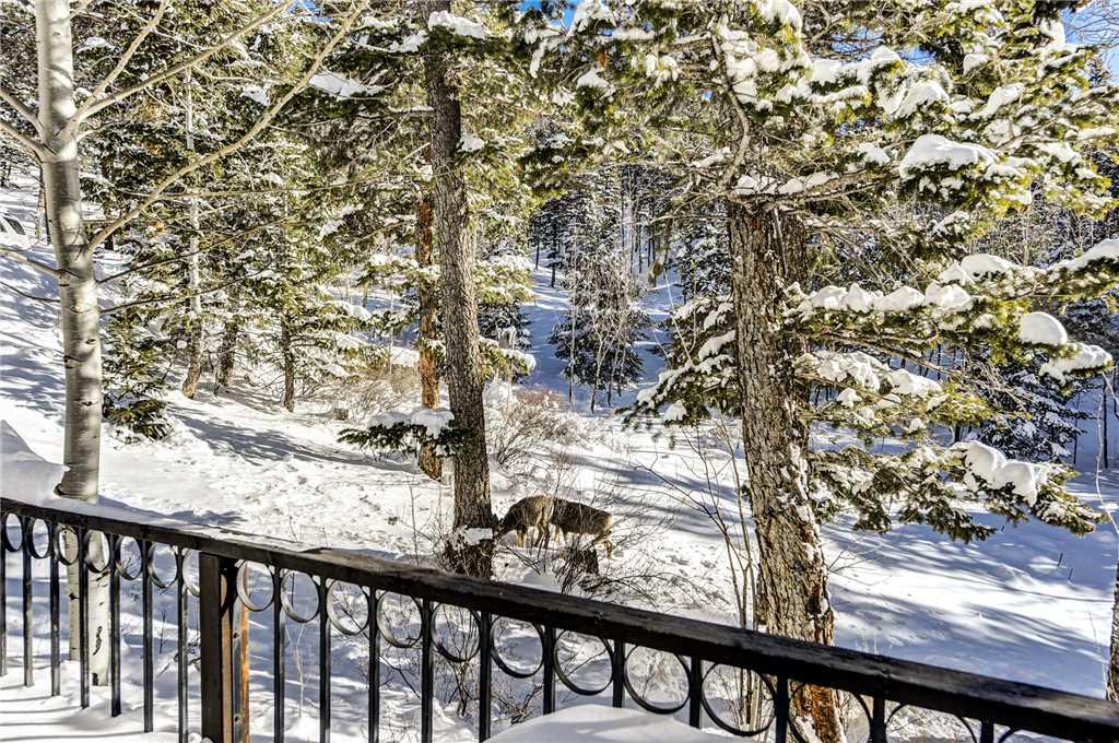 Adams Condominium (2 Bedroom Condo) - thumb 10