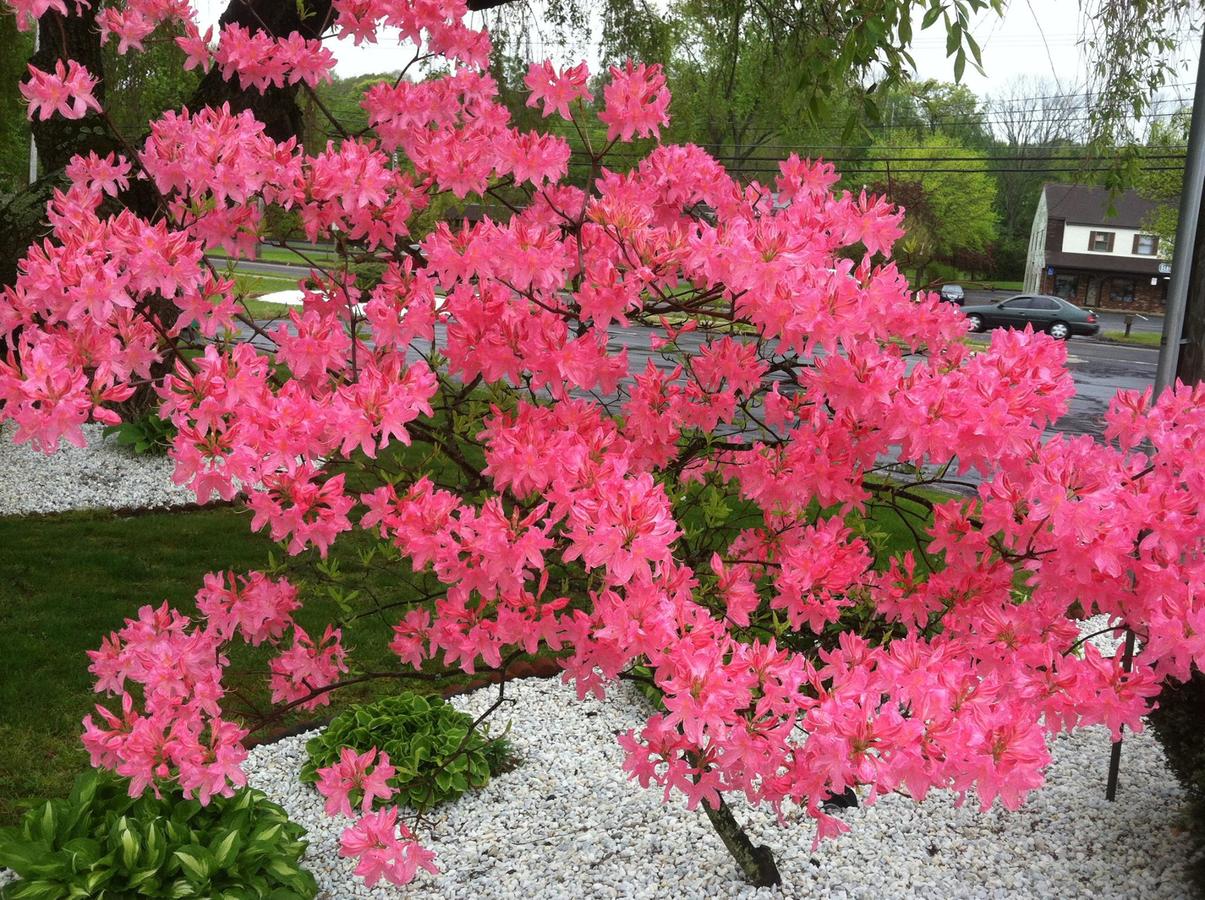 Cheshire Welcome Inn - thumb 4